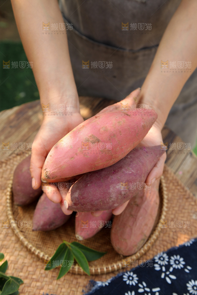 四色蜜薯