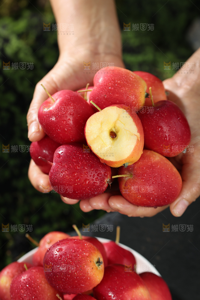 鸡心果