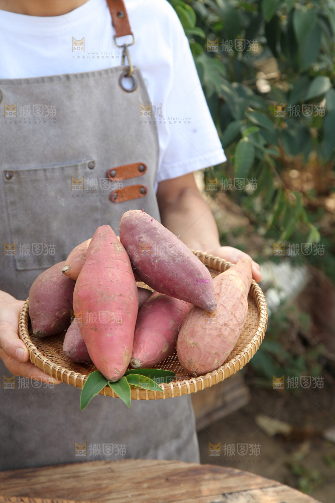 四色蜜薯