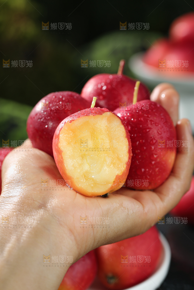 鸡心果