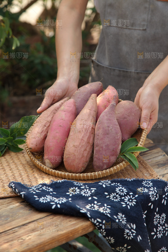 四色蜜薯