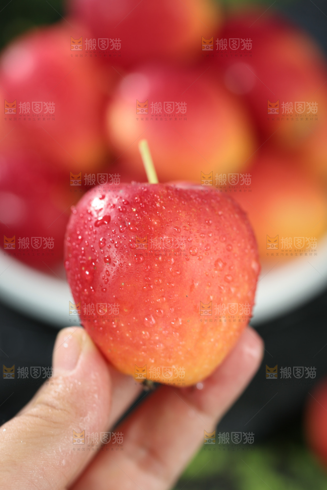 鸡心果