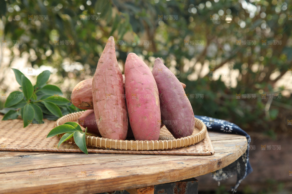 四色蜜薯