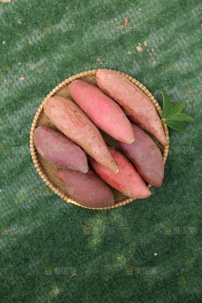 四色蜜薯