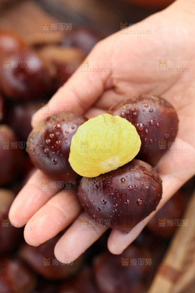 丹东大板栗