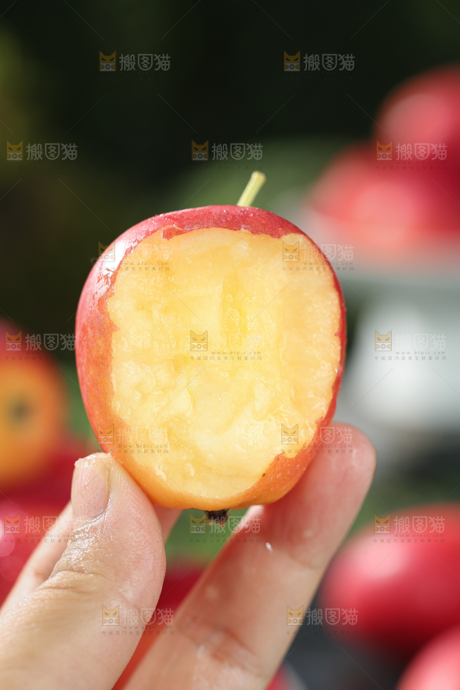 鸡心果