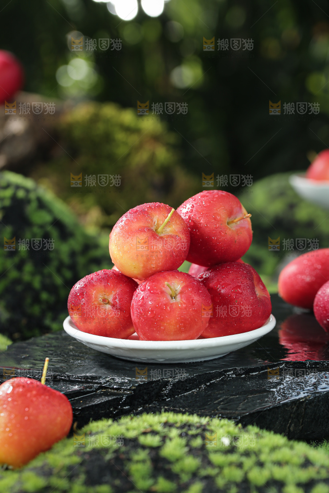 鸡心果