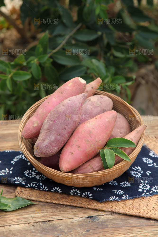 四色蜜薯