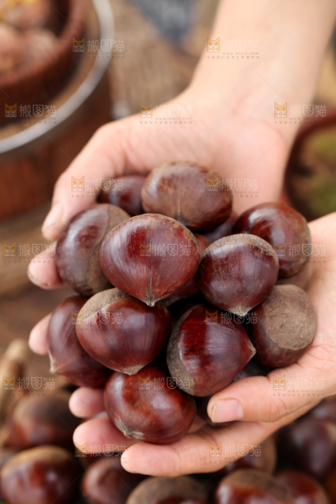 丹东大板栗