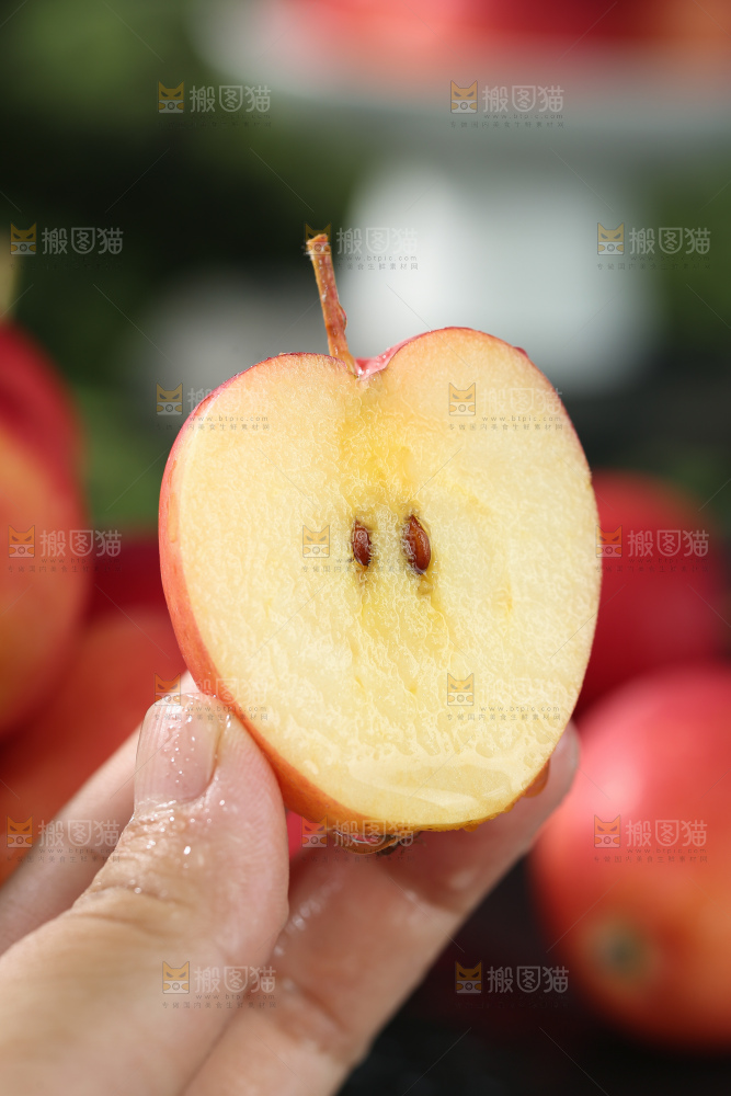 鸡心果