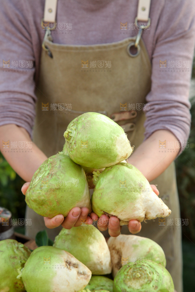 芥菜疙瘩