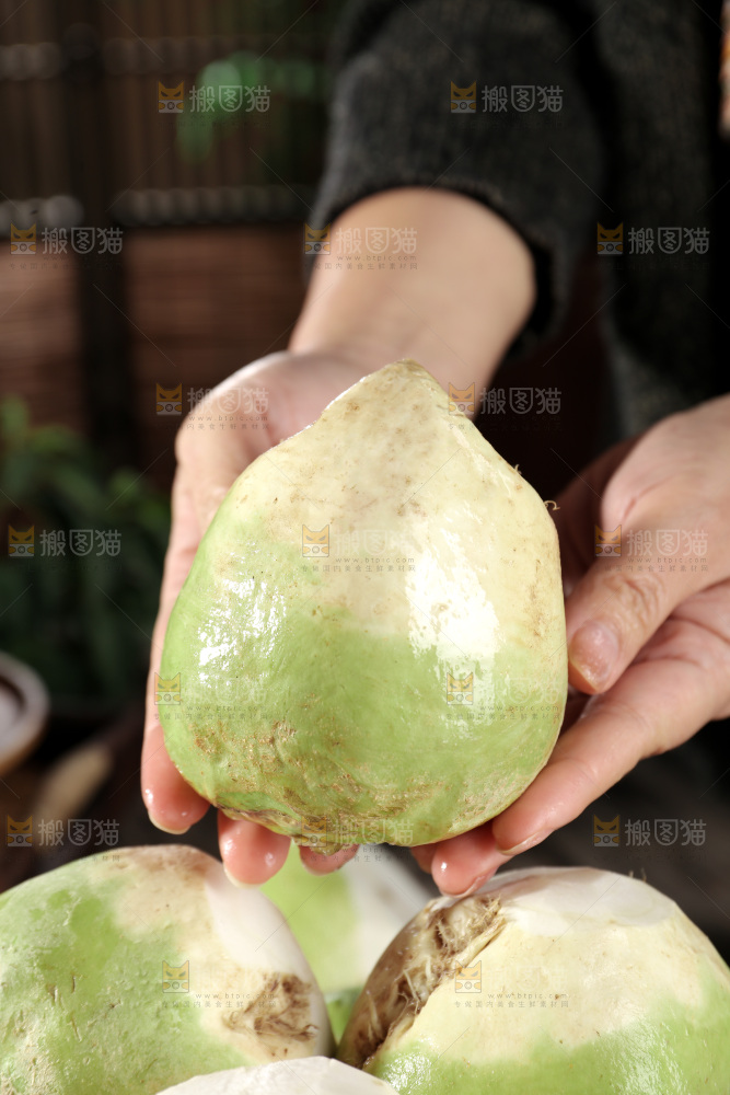 芥菜疙瘩