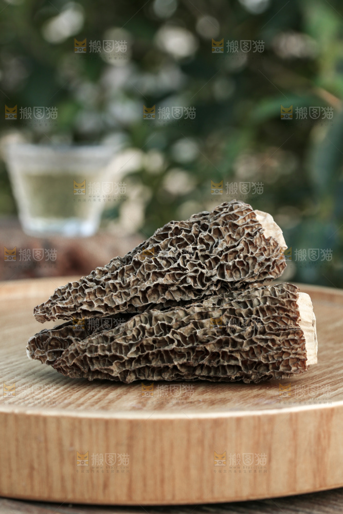 羊肚菌