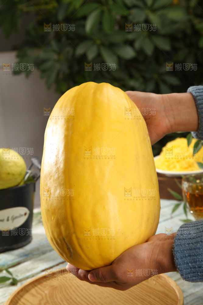 拉丝瓜