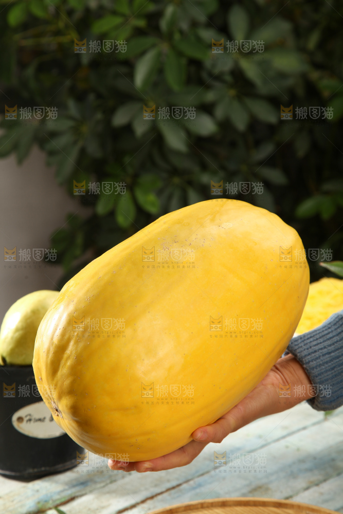 拉丝瓜