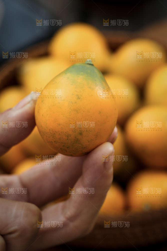脆蜜金柑