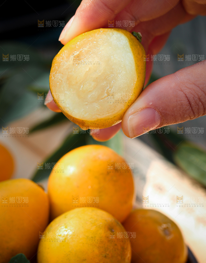 脆蜜金柑
