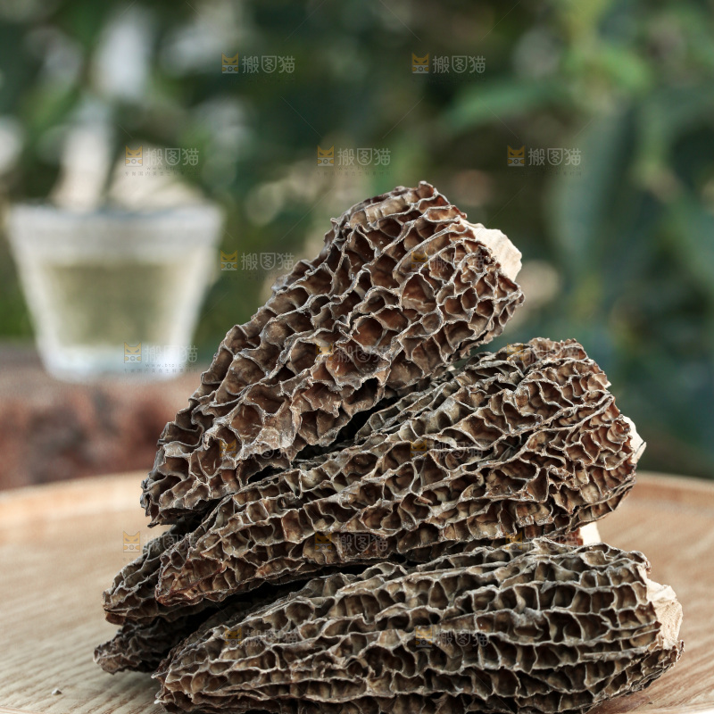 羊肚菌