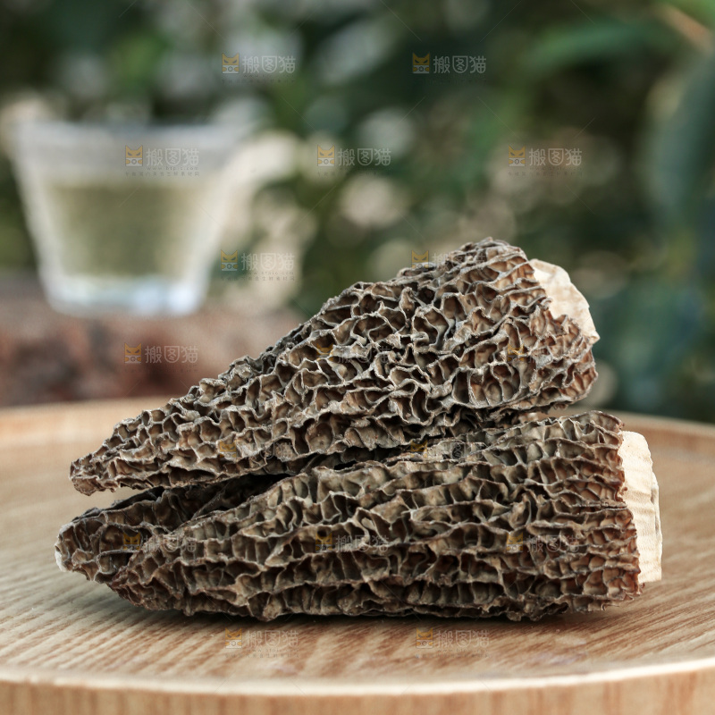 羊肚菌