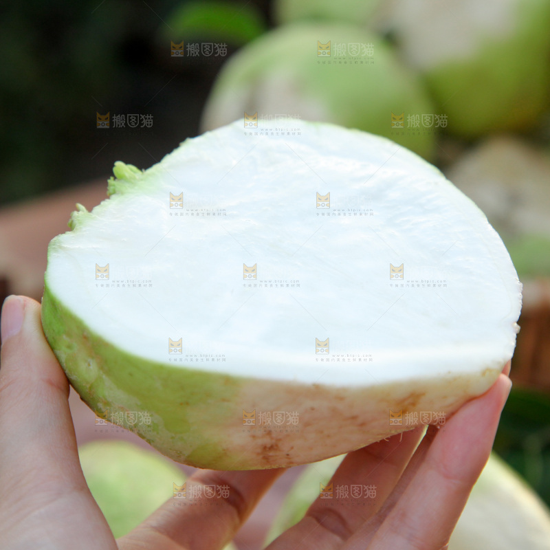 芥菜疙瘩