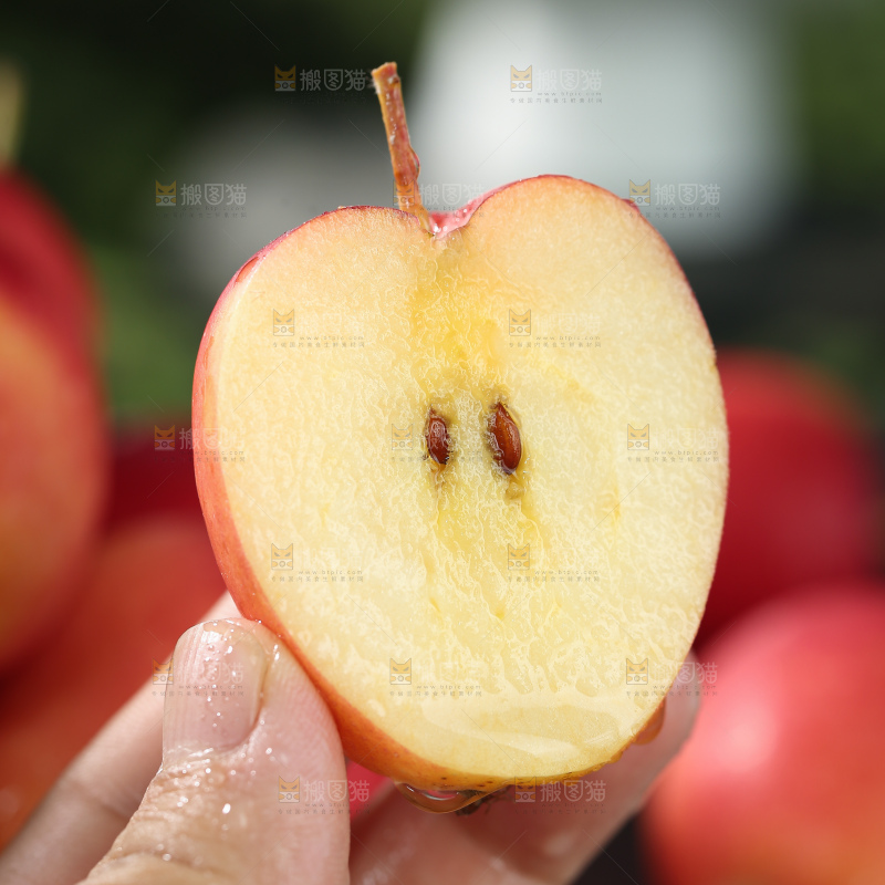 鸡心果