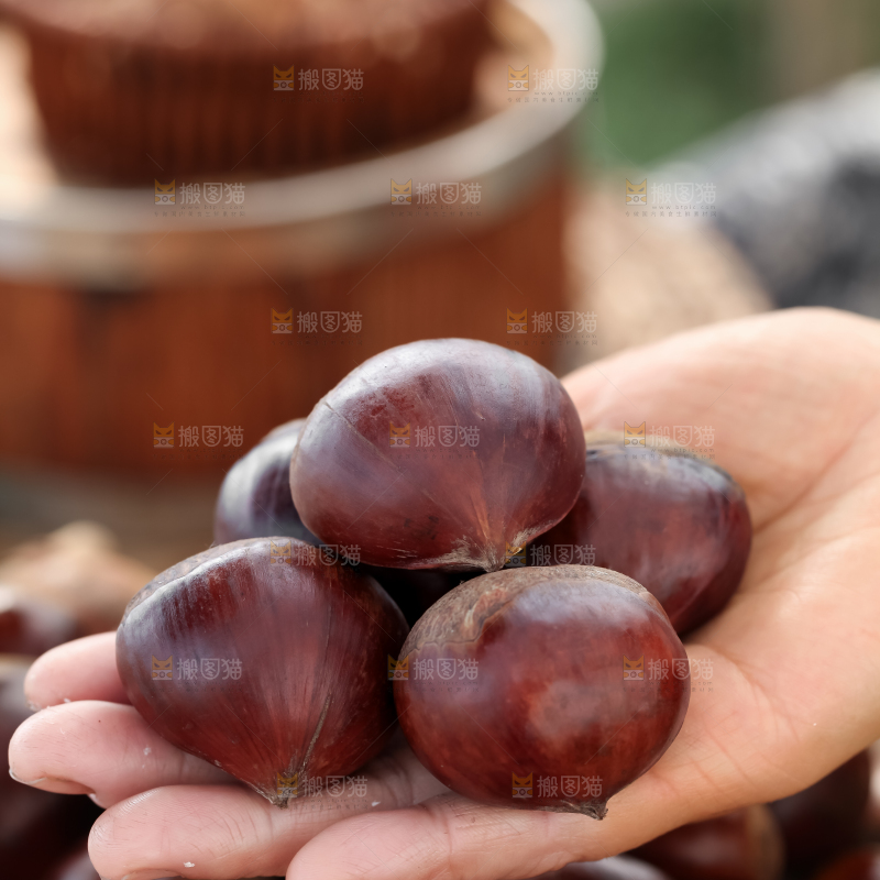 丹东大板栗