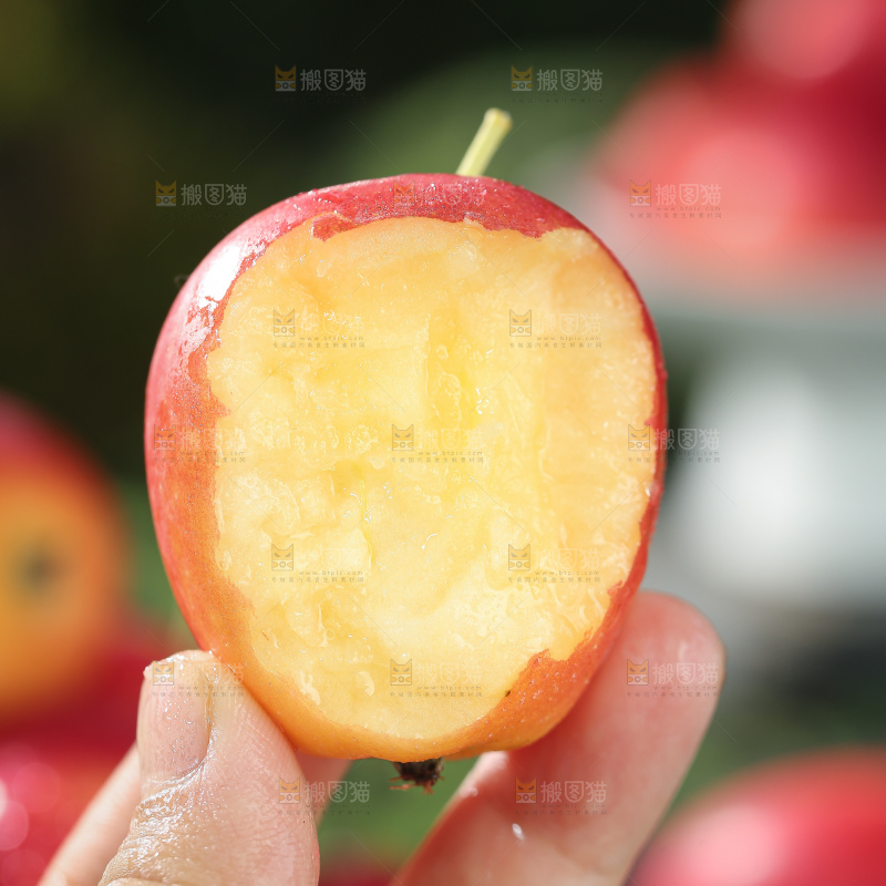 鸡心果