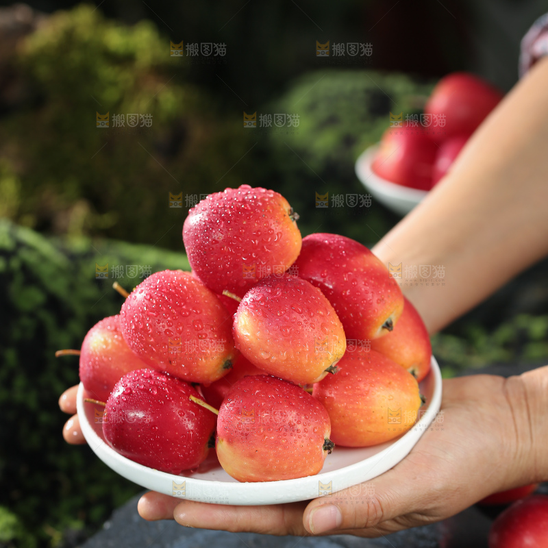 鸡心果