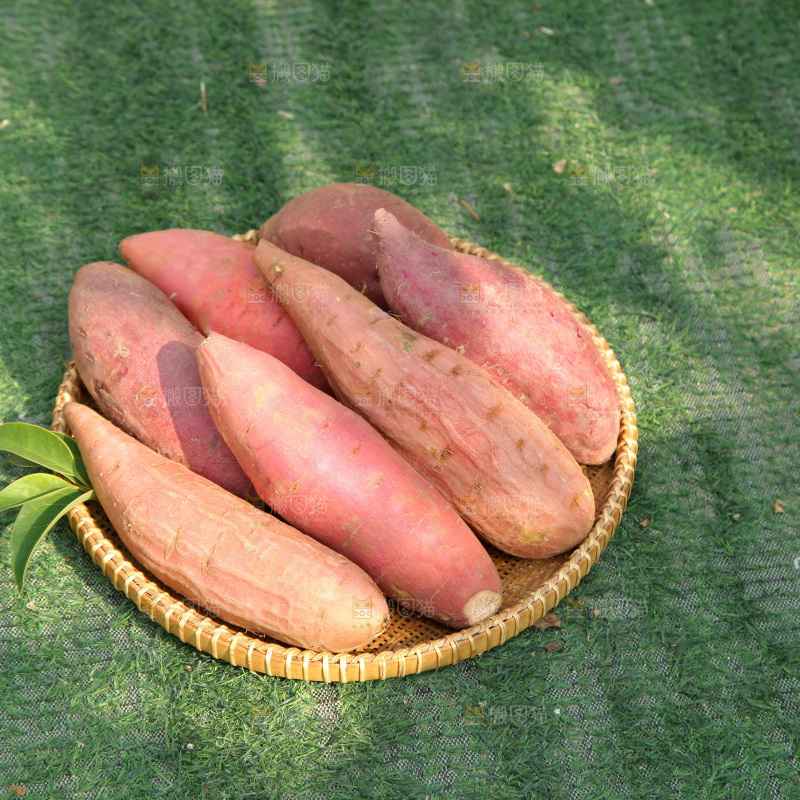 四色蜜薯