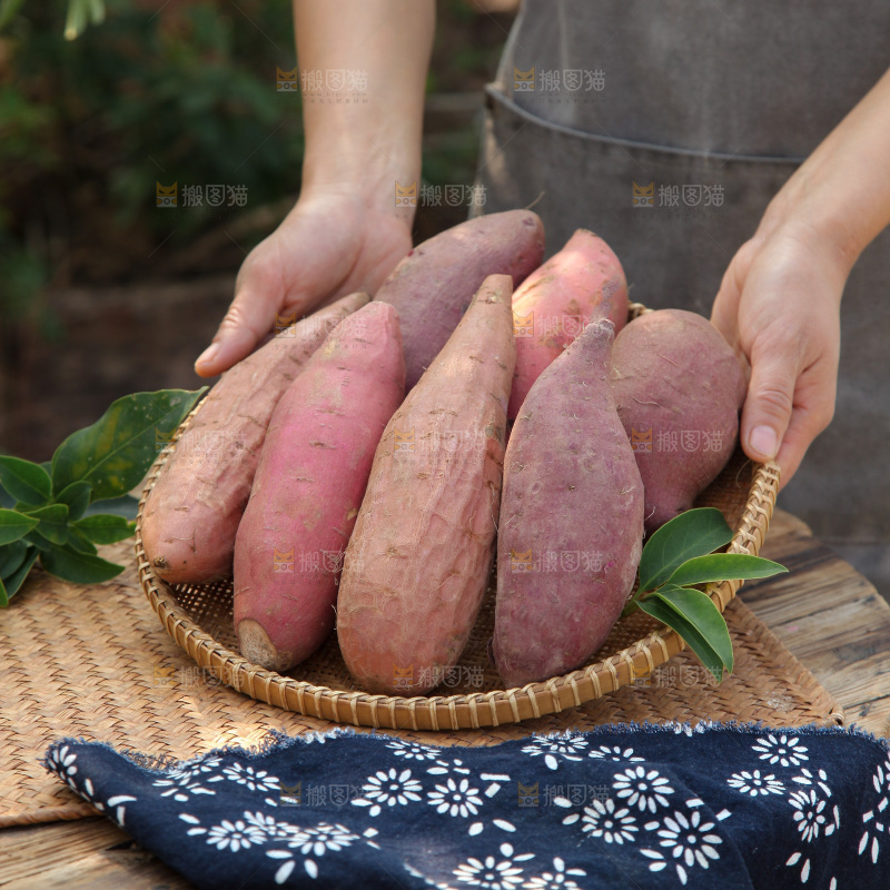 四色蜜薯