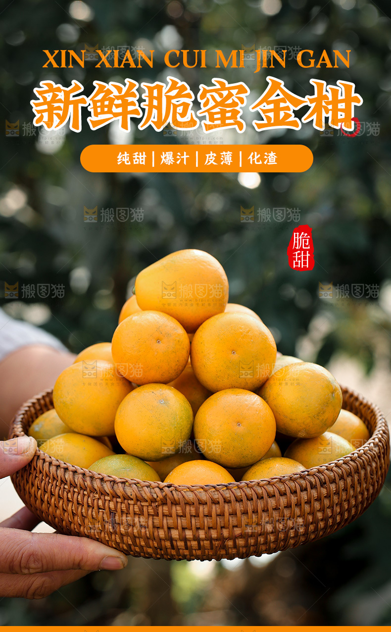 脆皮金桔详情页