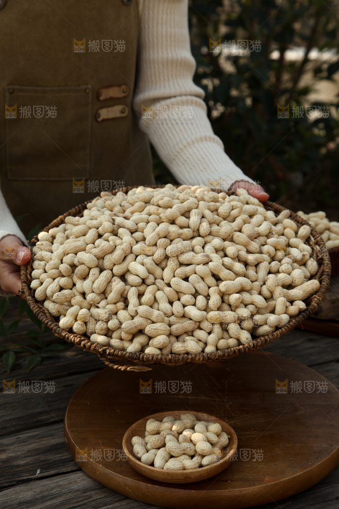 小珍珠花生