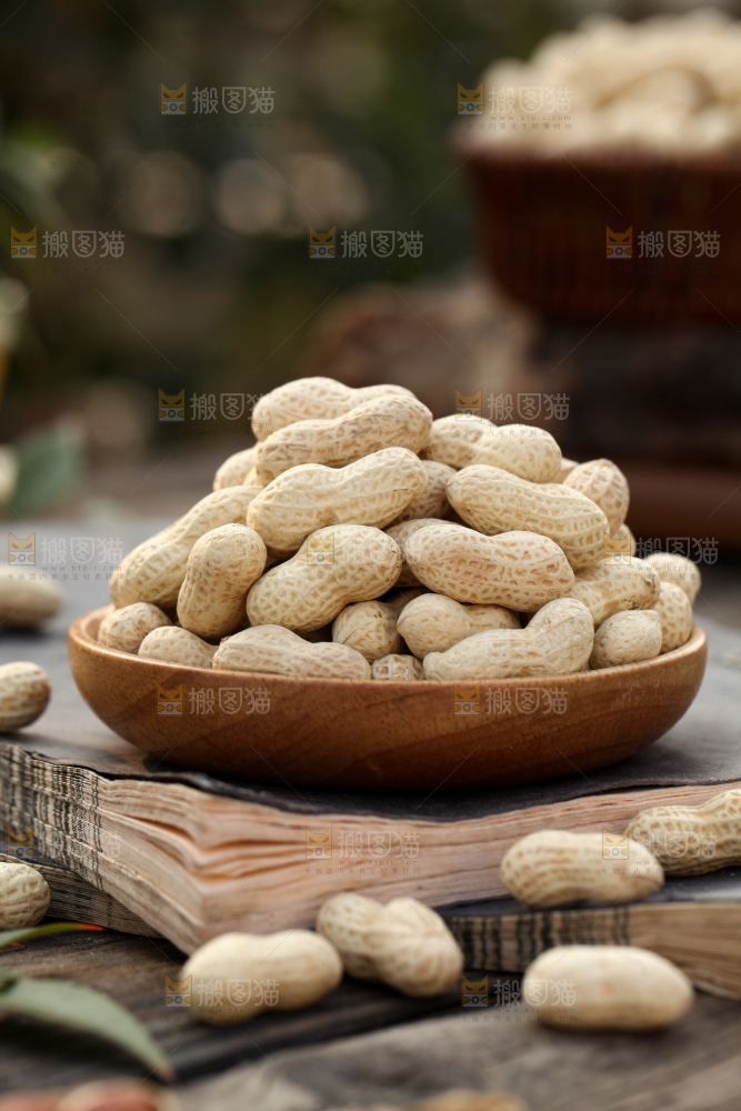 小珍珠花生