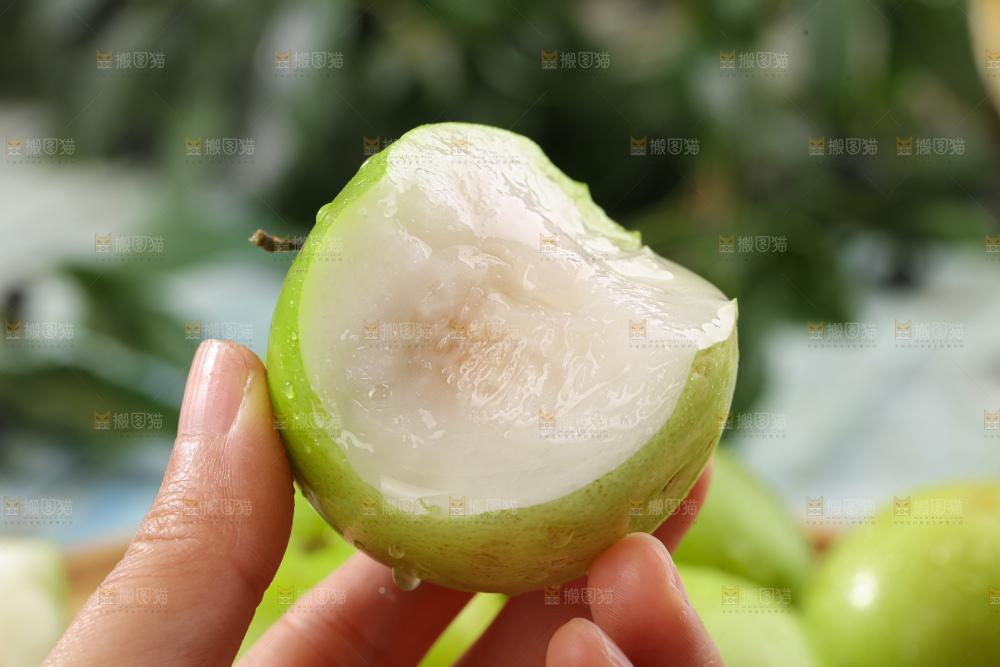 贵妃牛奶枣
