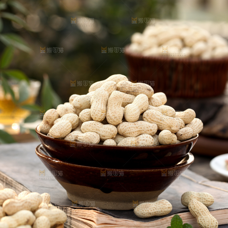 小珍珠花生