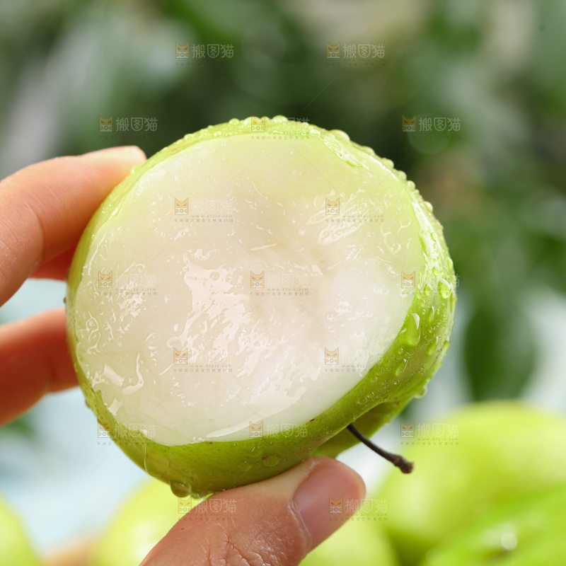 贵妃牛奶枣