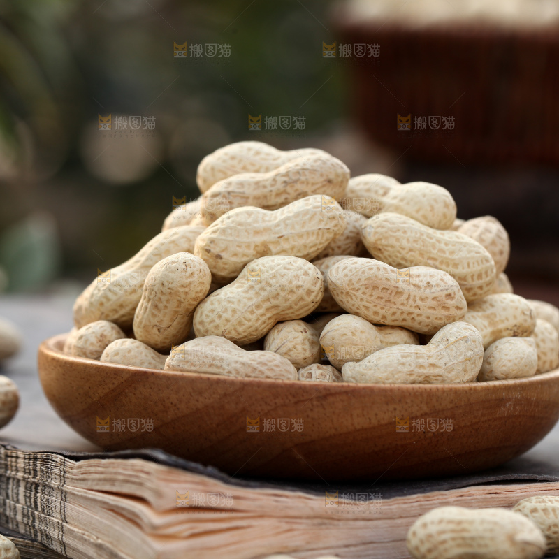 小珍珠花生