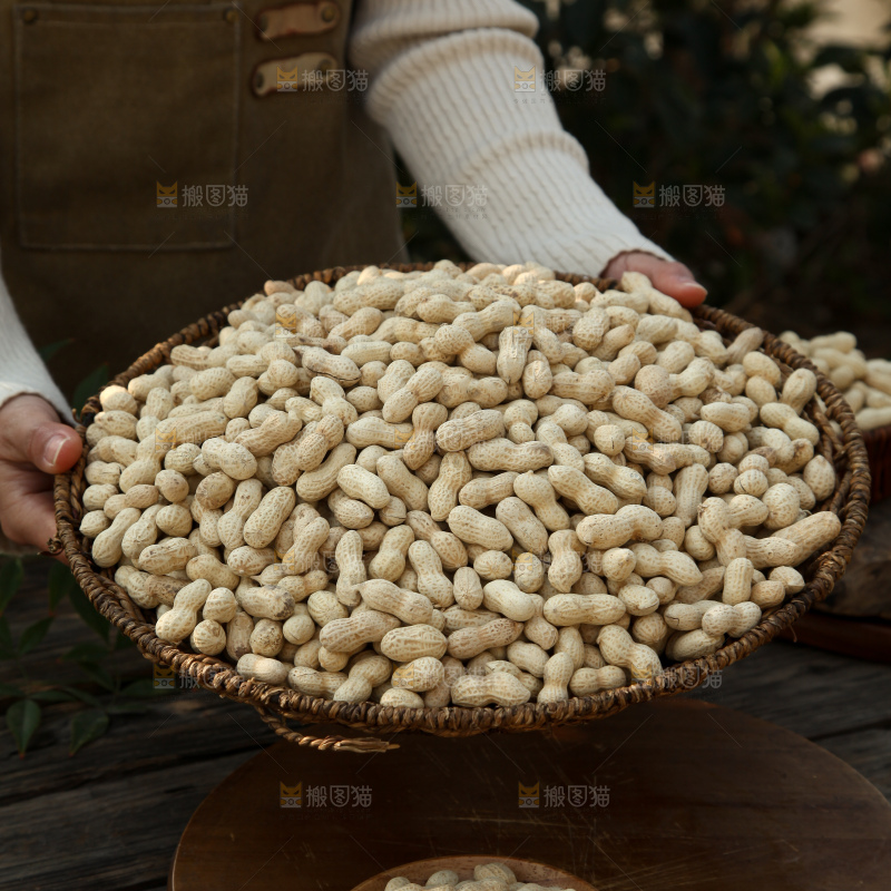 小珍珠花生