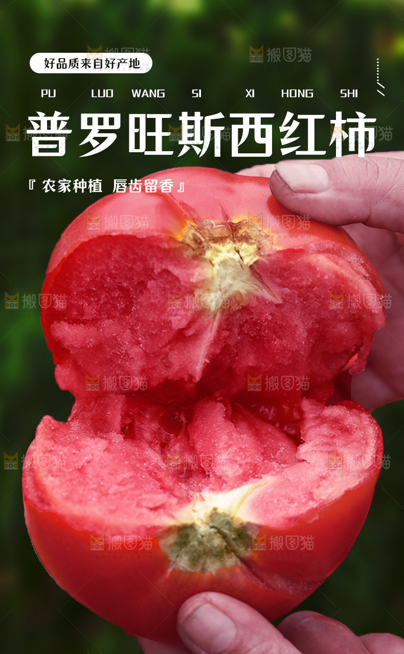 普罗旺斯西红柿详情页