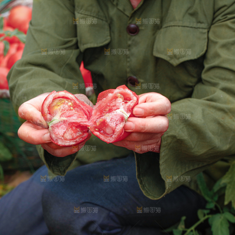 普罗旺斯西红柿