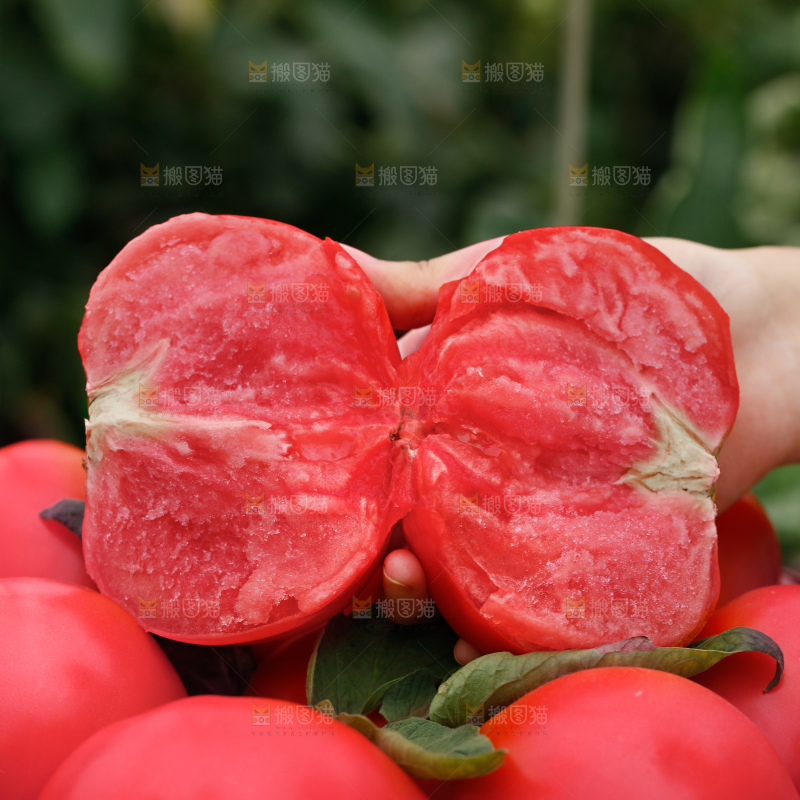 普罗旺斯西红柿