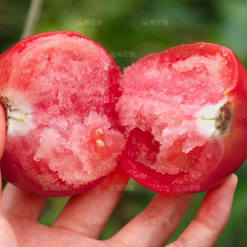 普罗旺斯西红柿