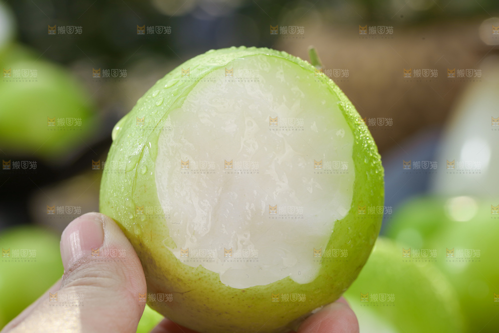 贵妃牛奶枣