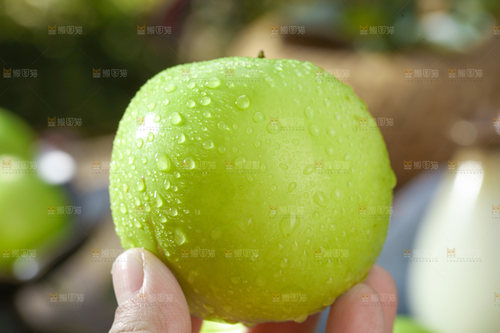 贵妃牛奶枣