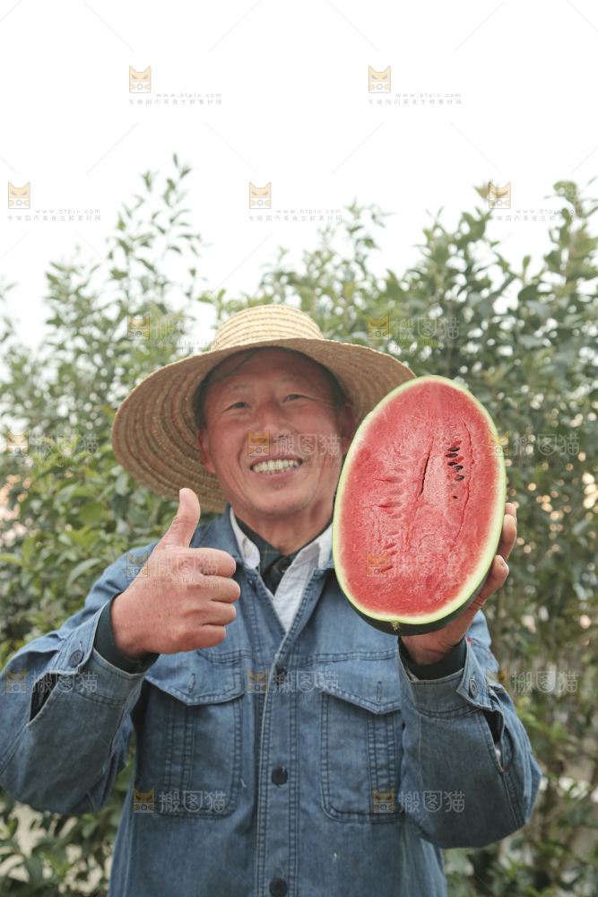 黑美人西瓜