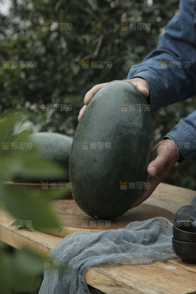 黑美人西瓜