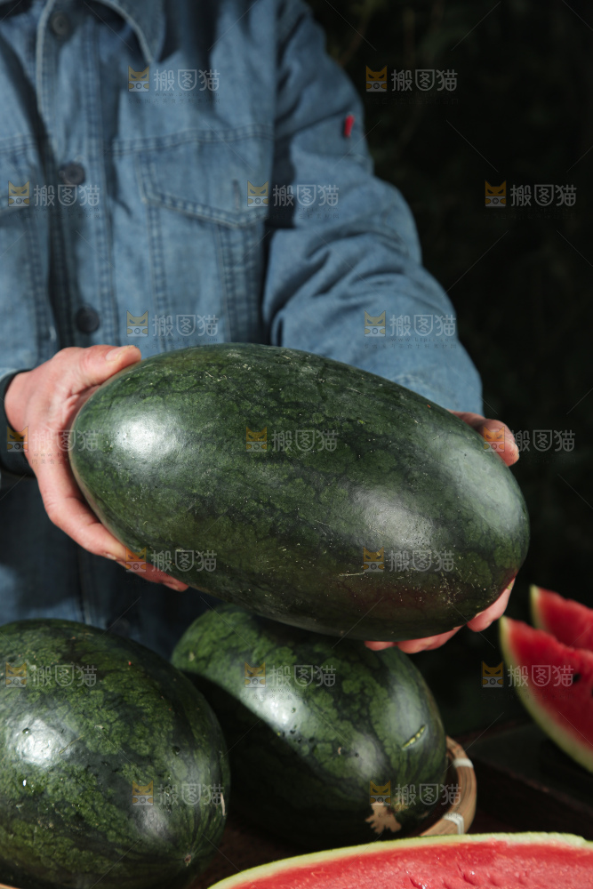 黑美人西瓜