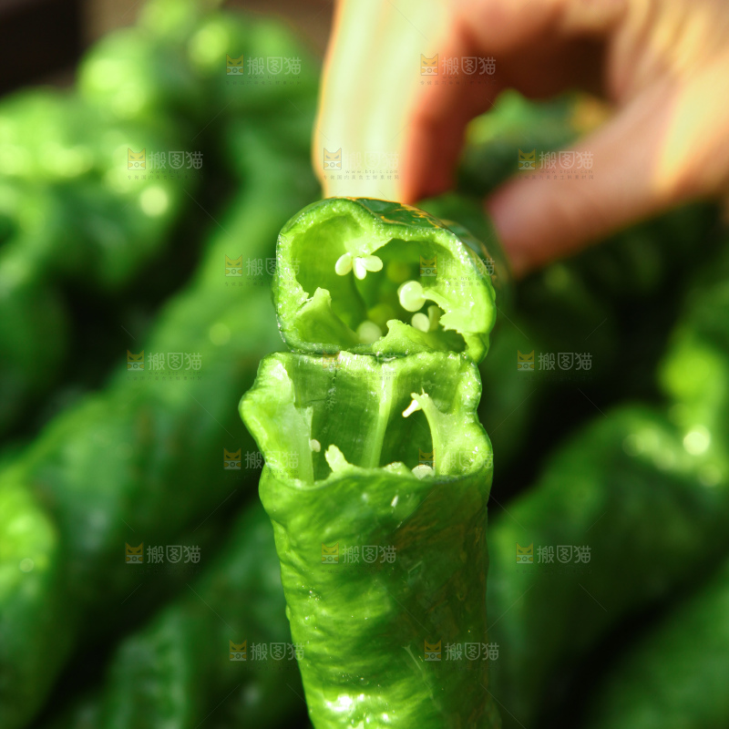 螺丝椒
