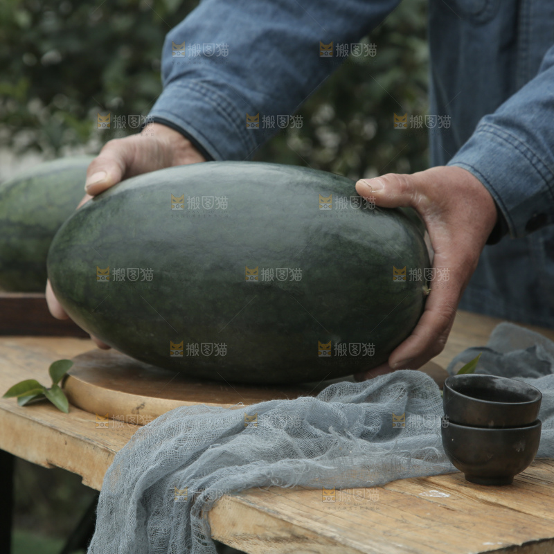 黑美人西瓜