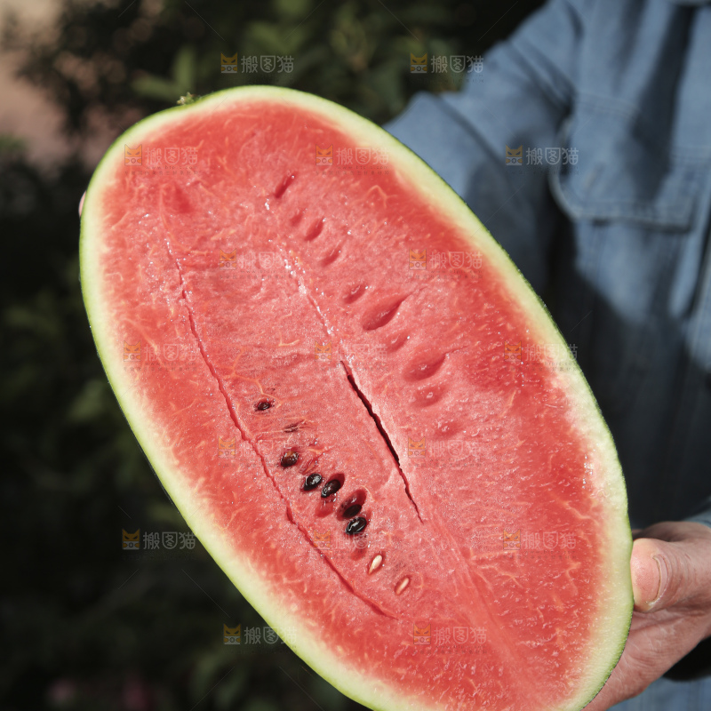 黑美人西瓜